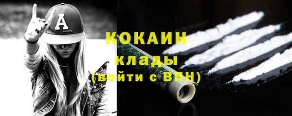 стафф Арсеньев