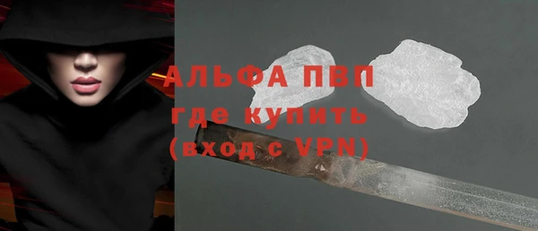 стафф Арсеньев