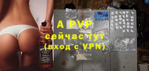 стафф Арсеньев