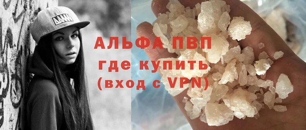 стафф Арсеньев